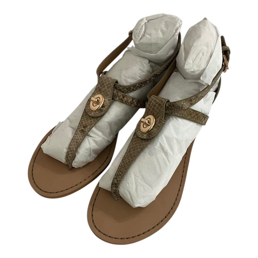Women's Taupe T-Strap Sandals with Gold Accent
